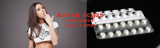 2c-b Горно-Алтайск