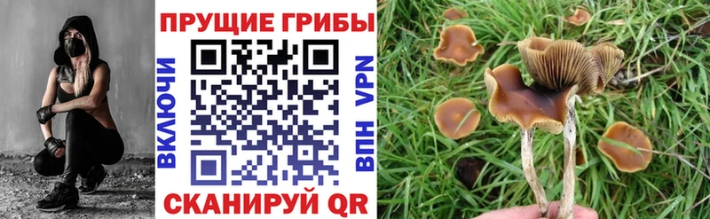 Псилоцибиновые грибы прущие грибы Гурьевск
