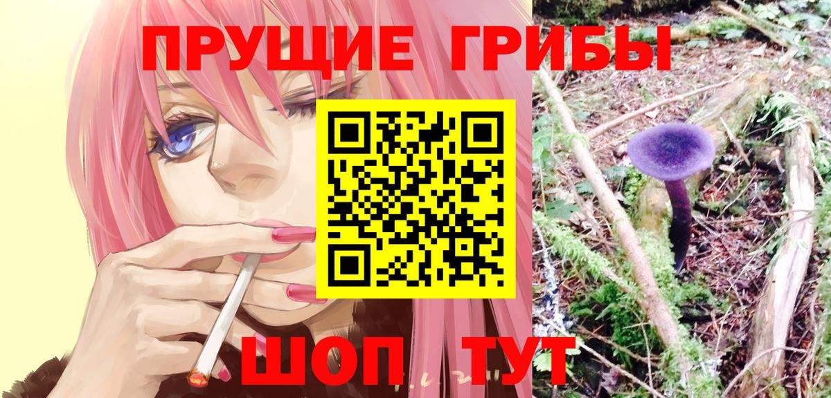 Галлюциногенные грибы мицелий Гурьевск