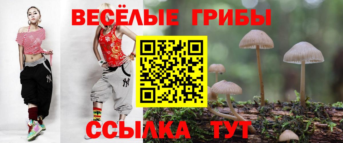 Гурьевск  Псилоцибиновые грибы Magic Shrooms  Вход с VPN 