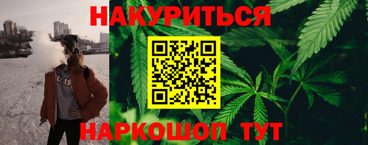 Канабис планчик Гурьевск